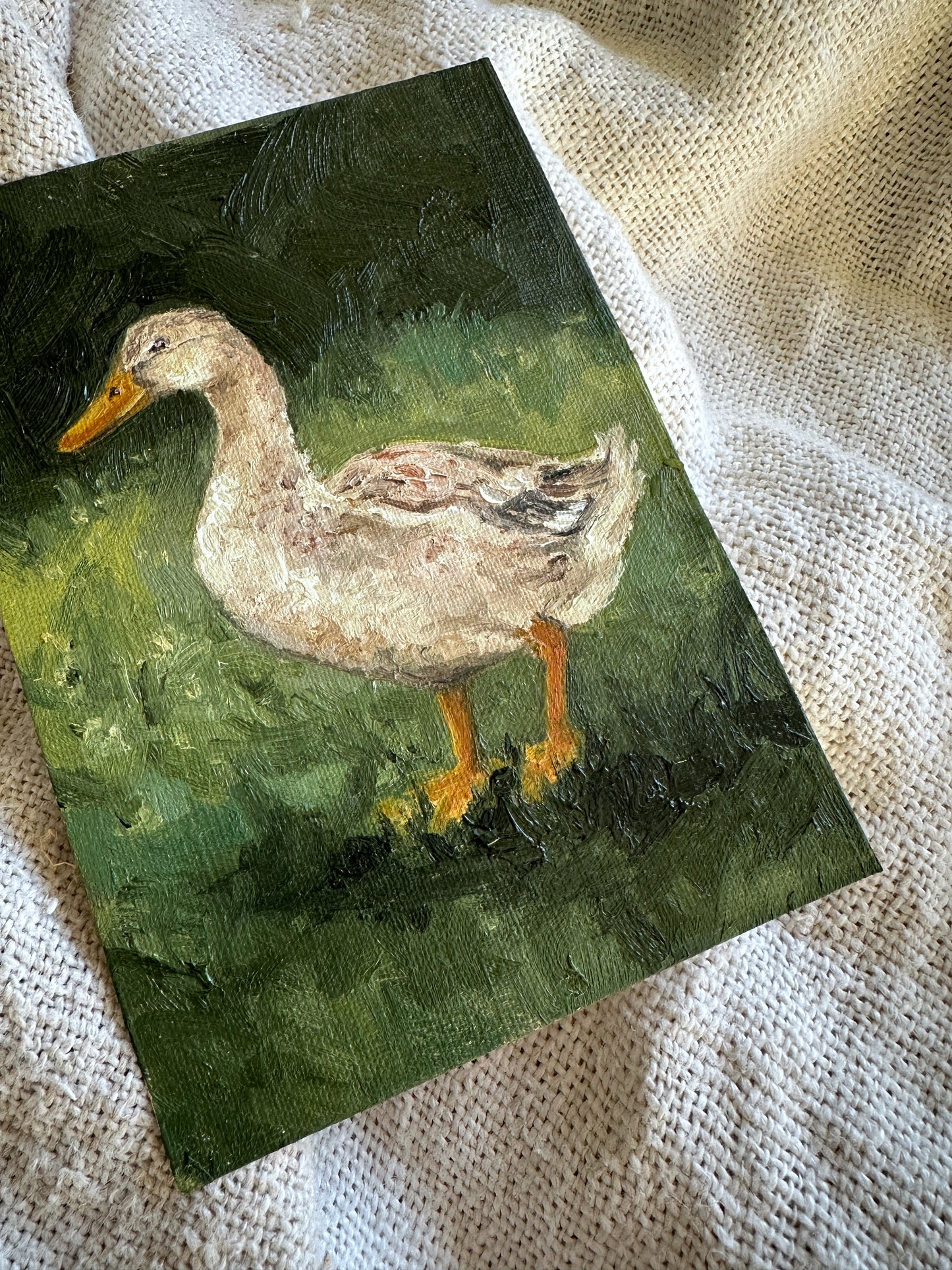 The Garden Guest